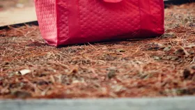 How to Get Doordash Promo Code and Coupon for Existing Users